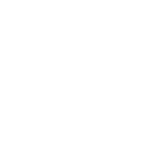 customizable-icon