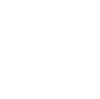 secure-icon
